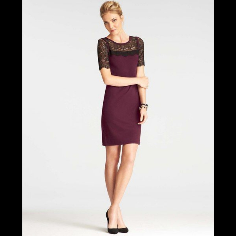 Ann Taylor Petite Lace Overlay Sweater Dress